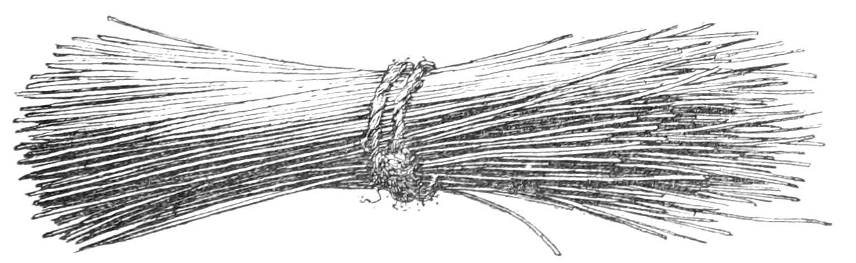 Fig. 30. Hair-brush