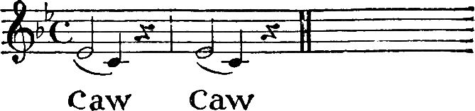 Caw Caw