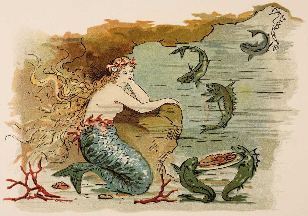 Mermaid and fish