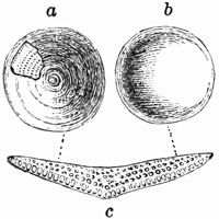 Fig. 22.
