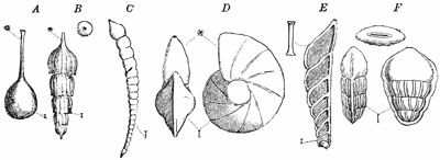 Fig. 28.