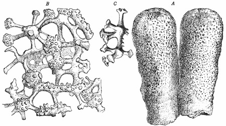 Fig. 63.