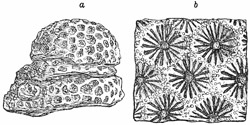 Fig. 179.