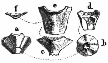 Fig. 251.