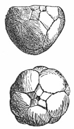 Fig. 269.
