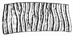 Fig. 310.