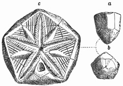 Fig. 345.