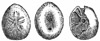 Fig. 402.