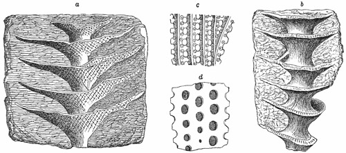 Fig. 436.