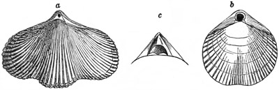Fig. 469.