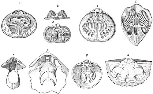 Fig. 471.