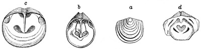 Fig. 475.