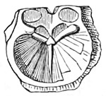 Fig. 484.