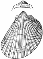 Fig. 588.