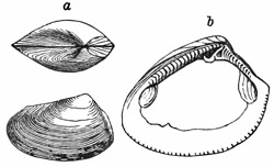 Fig. 623.