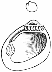 Fig. 634.