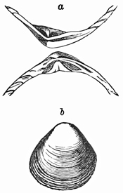 Fig. 654.