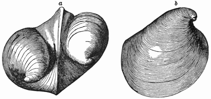 Fig. 660.