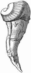 Fig. 673.
