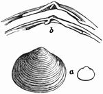 Fig. 685.