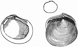 Fig. 696.