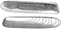 Fig. 724.