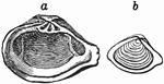 Fig. 747.