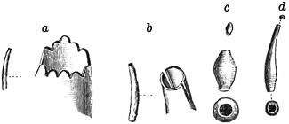 Fig. 758.
