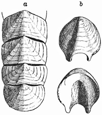 Fig. 759.