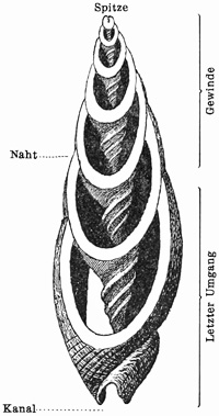 Fig. 761.