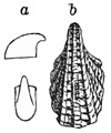 Fig. 767.
