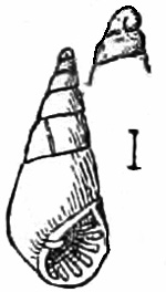 Fig. 879.