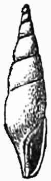 Fig. 882.