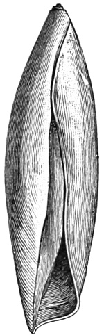 Fig. 911.