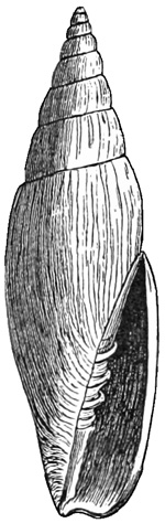Fig. 949.
