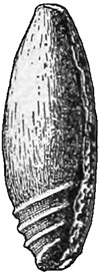 Fig. 978.