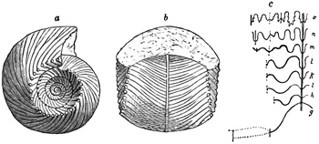 Fig. 1127.