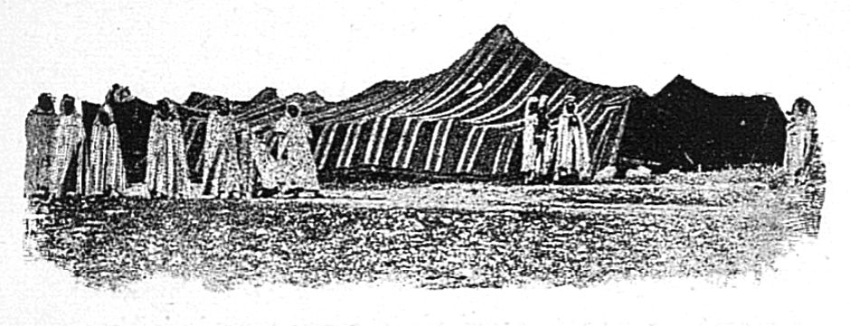Les tentes des Oulad-Sidi-Cheikh