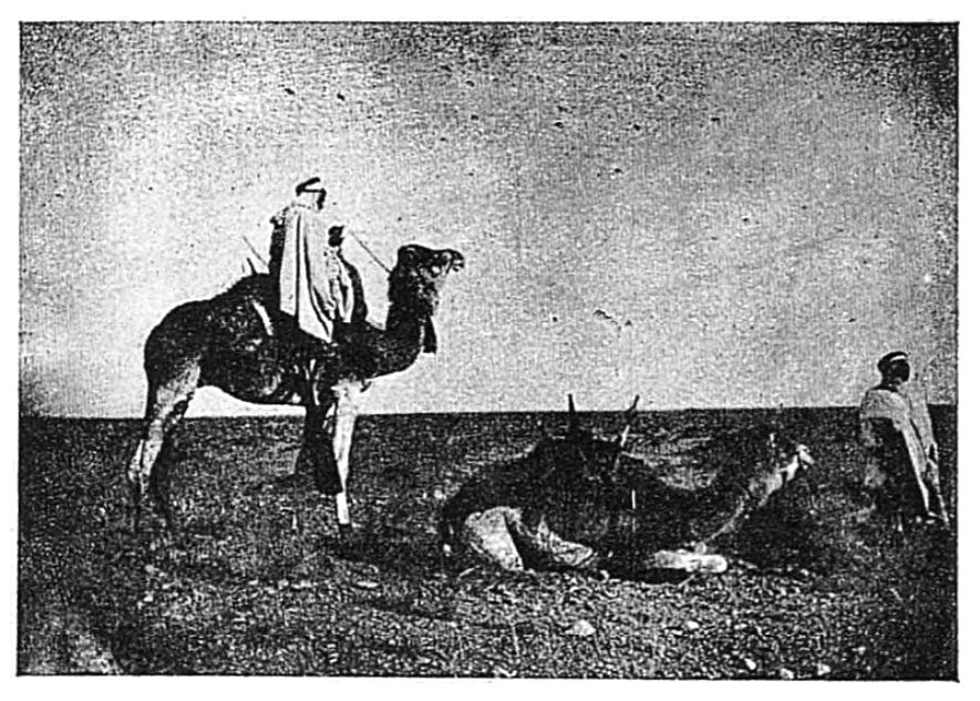 Cheikh-ben-Bou-Djemâa sur son méhari
