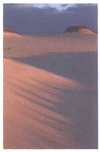 (Sand dune.)