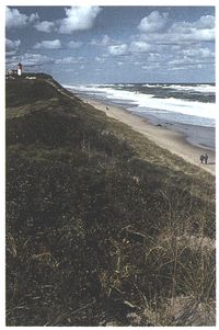 (Seashore with Lighthouse.)