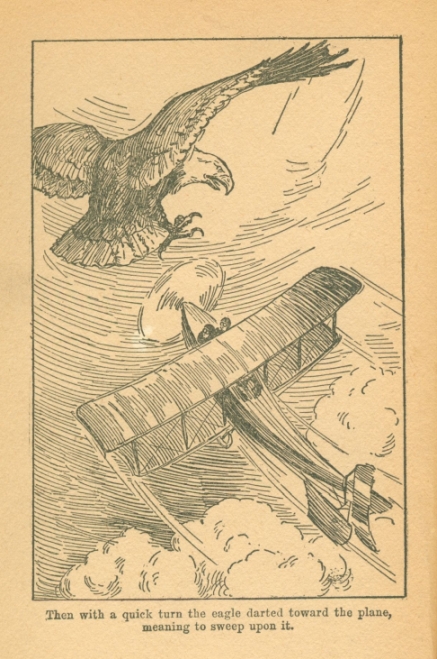Then with a quick turn the eagle darted toward the plane, meaning to sweep upon it.