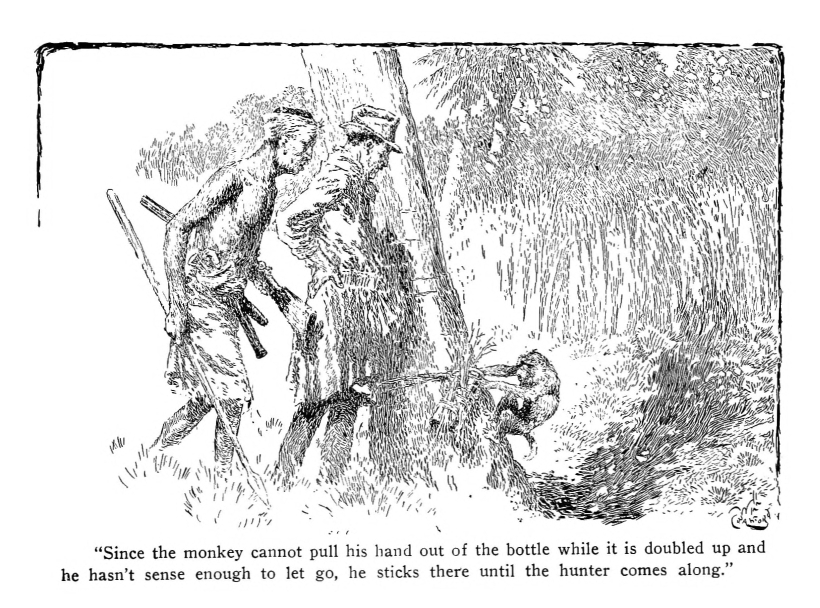 "Since the monkey cannot pull his hand out of the bottle while it is doubled up and he hasn't sense enough to let go, he sticks there until the hunter comes along."