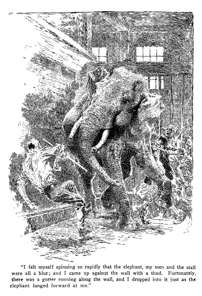"I felt myself spinning so rapidly that the elephant, my men and the stall were all a blur; and I came up against the wall with a thud. Fortunately, there was a gutter running along the wall, and I dropped into it just as the elephant lunged forward at me."