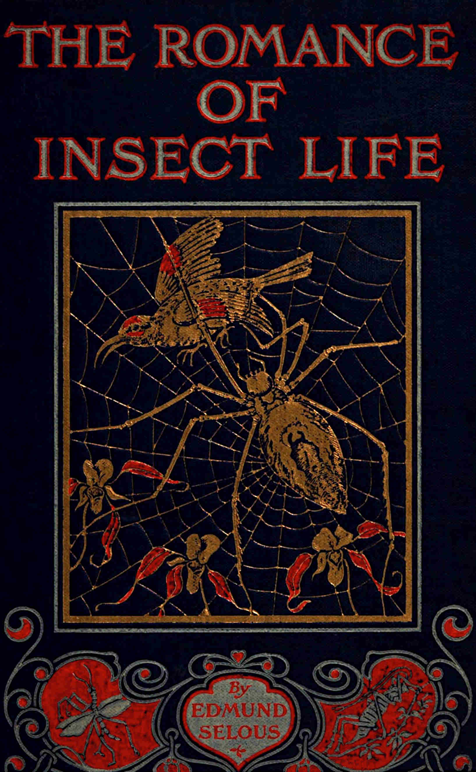 The Romance of Insect Life Project Gutenberg photo