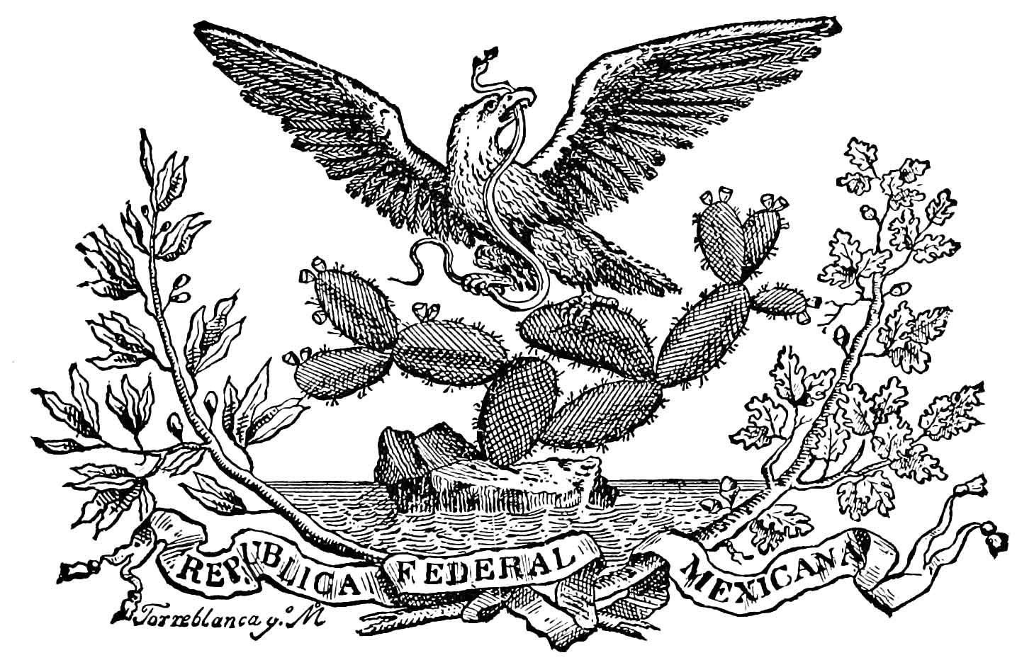 Capa da Constituição – Von Regium