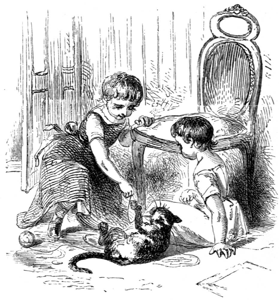 Two kids playing with cat
