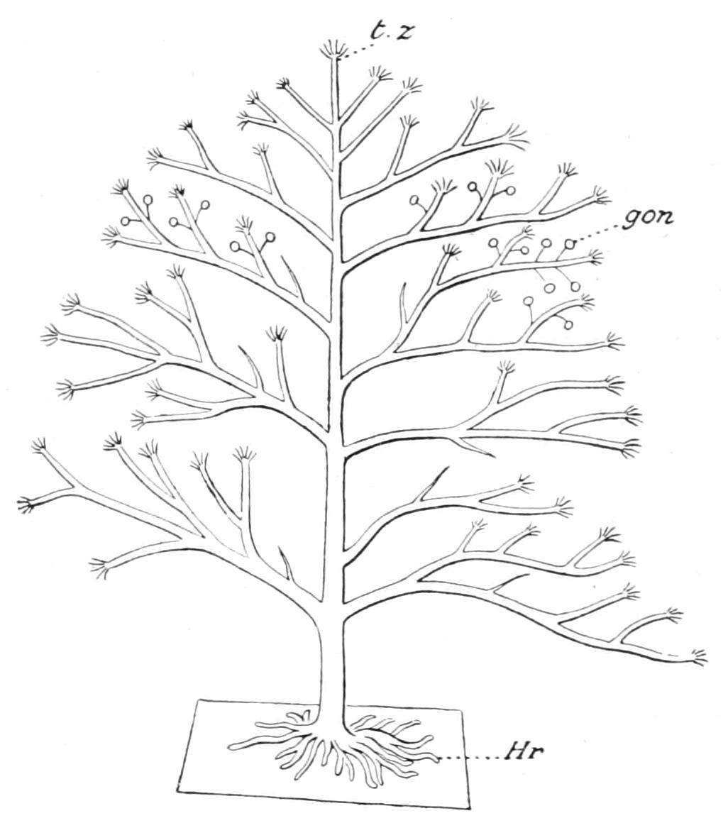 fig130
