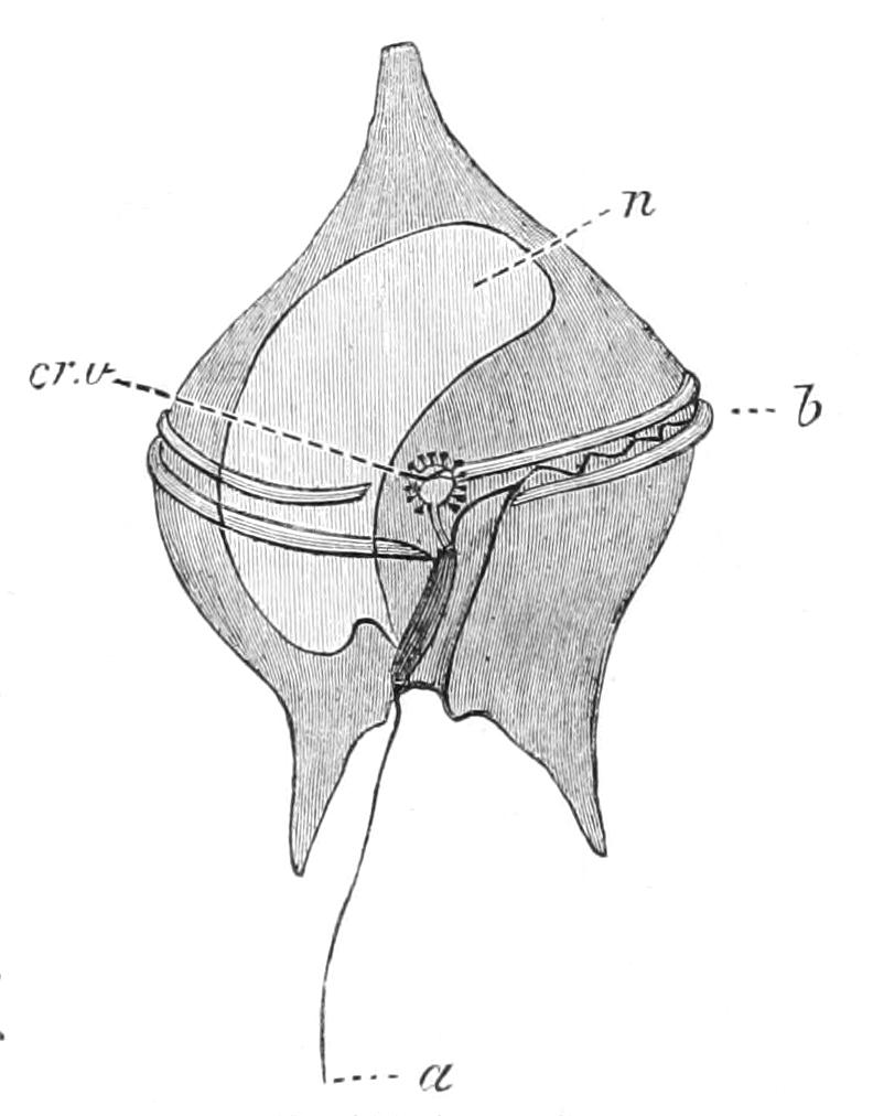 fig46