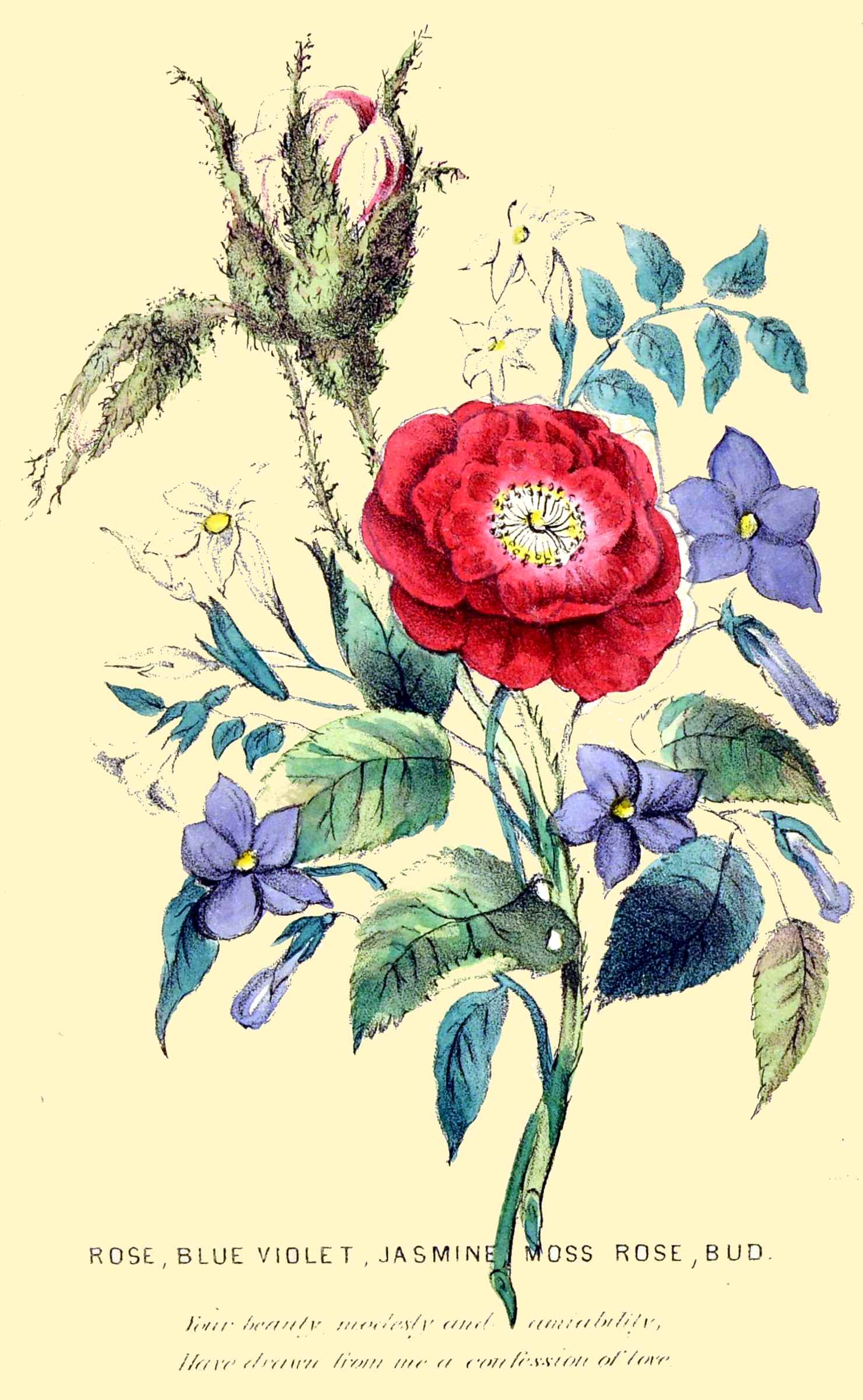The Project Gutenberg eBook of The language of flowers, by Henrietta Dumont.